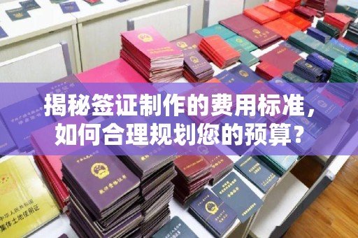 历城揭秘签证制作的费用标准，如何合理规划您的预算？