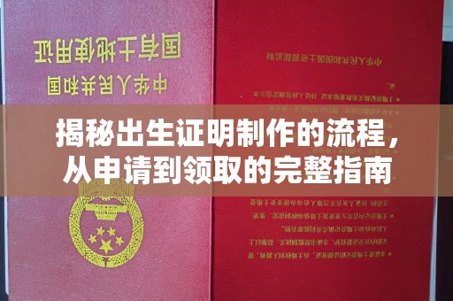 历城揭秘出生证明制作的流程，从申请到领取的完整指南